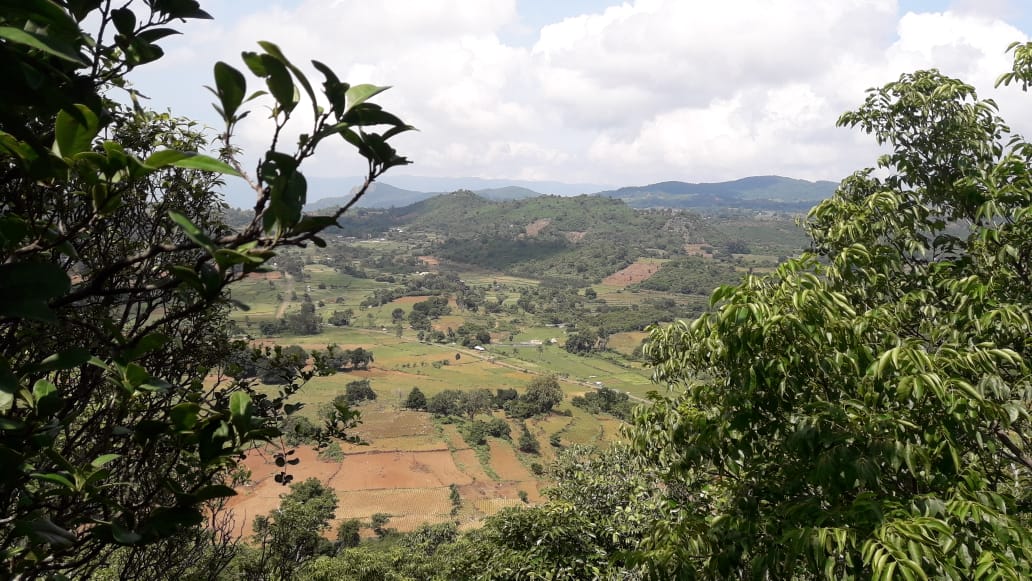 IMG-20190930-WA0017.jpg